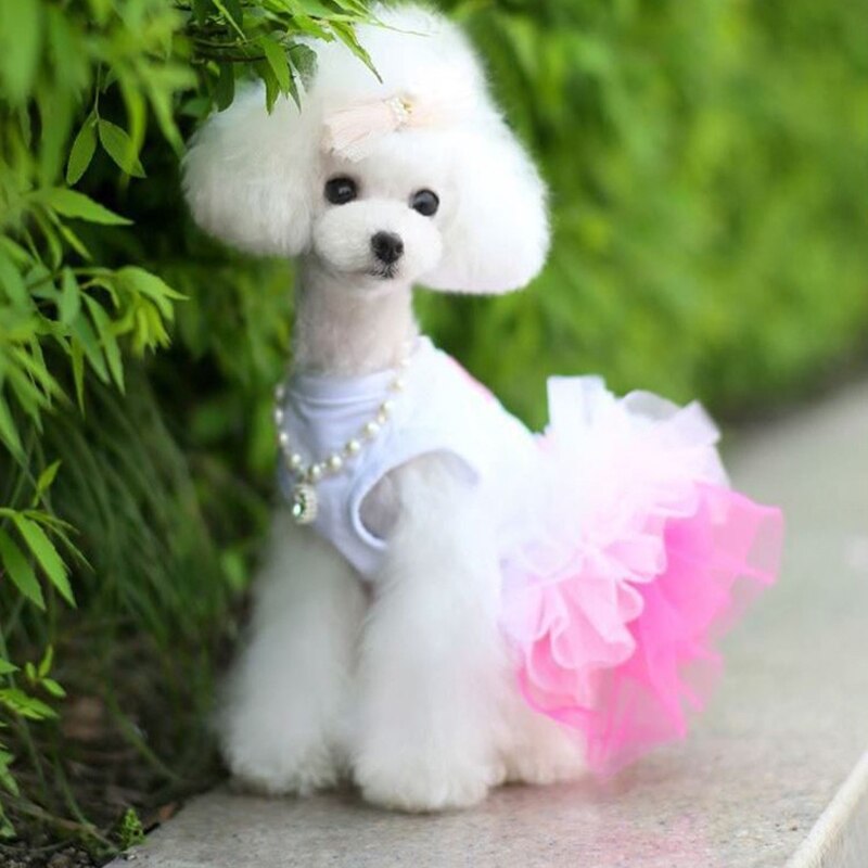 Cute Puppy's Cotton Princess Dress Comfortable Lovely Dog Pets Dress Print Dog Cat Skirt Pink Blue Lace Dress Pet Clothes XS-2XL