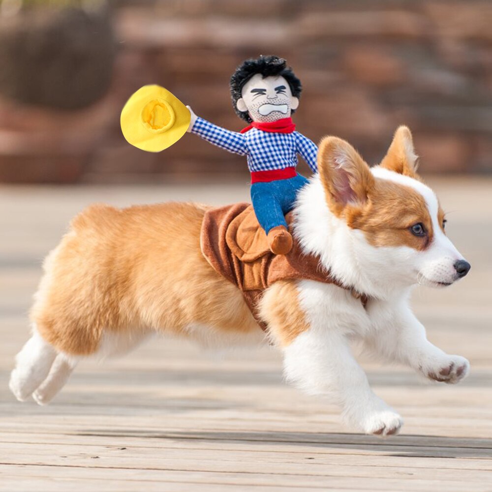 Disfraz de perro gato gracioso ala de murciélago, accesorio de Cosplay, disfraz de murciélago de Halloween, ropa de decoración para de Navidad, productos para mascotas: L