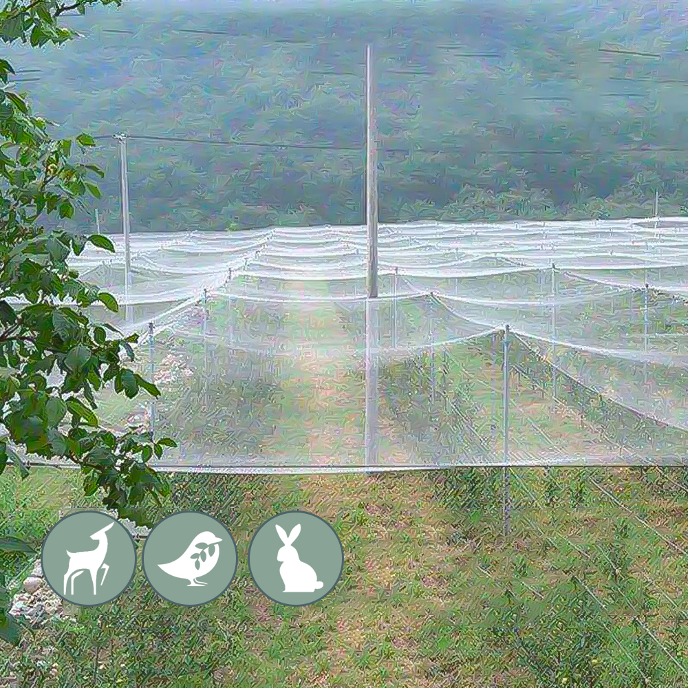 3 x 1–20 m Anti-Vogel-Netz, Garten- und draussen-Schädlingsbarriere, geknotetes quadratisches Netz, Schutznetz, extra starkes Nylonnetz für Geflügelzucht