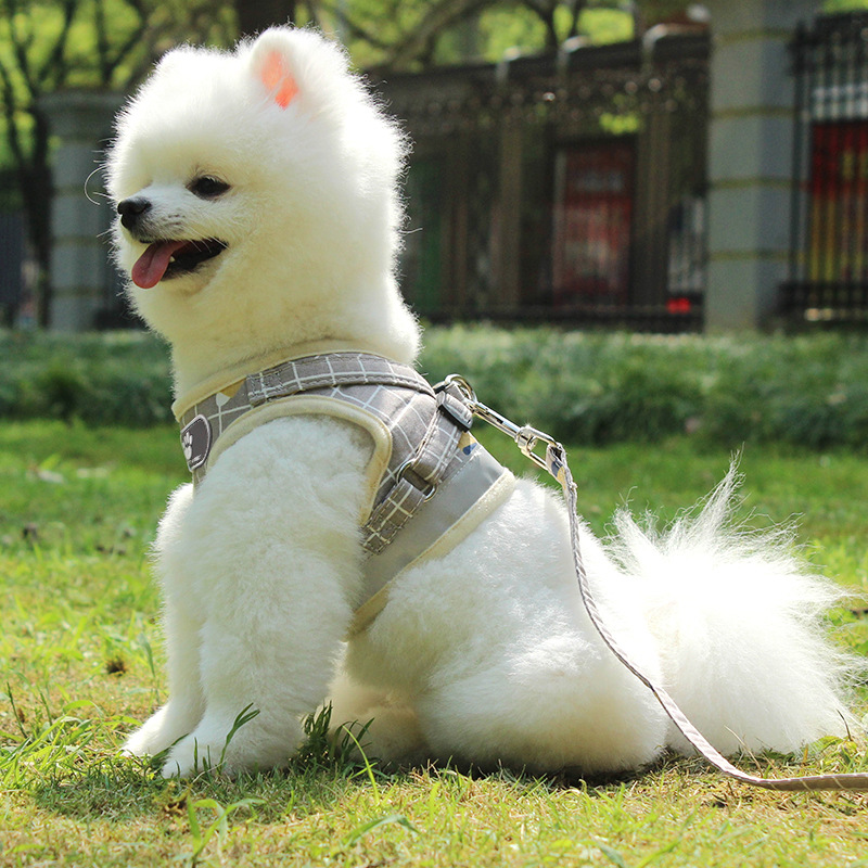 Hond Kat Harnas Met Leiband Verstelbare Vest Wandelen Levert Reflecterende Zachte Mesh Kraag Puppy Voor Kleine Medidum Grote Honden