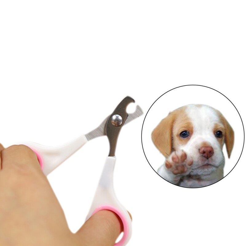 Rvs Hond Puppy Kat Nagelknipper Hond Kat Schaar Hond Kat Grooming Tool Trimmer Nail