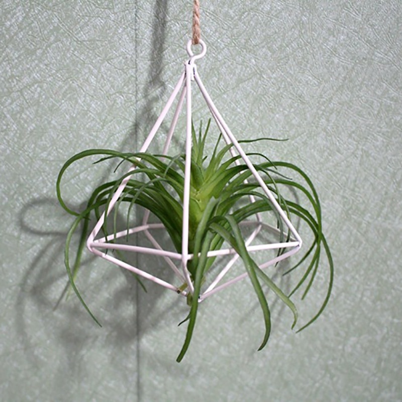 Suspended Tillandsia Fixture Rack Metal Geometric Antique Pot Plant Potted Plant Family Garden Stand Hanging Flowerpot