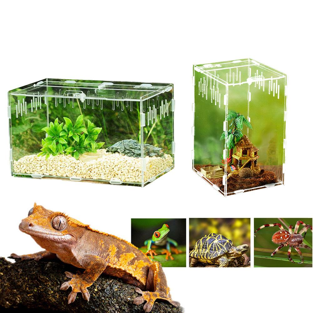 Transparent Reptile Tank Insect Spiders Tortoise Lizard Acrylic Breeding Box Vivarium Lid Reptile Pet Product Terrarium