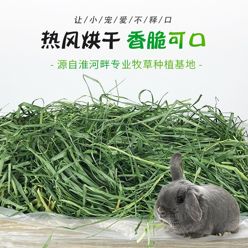 Verse Gedroogde Raaigras Fcl Hooi Snacks Feed Chinchilla Cavia Voedsel Konijnen Huisdier Producten Farm Animal Levert Bunny Accessoires