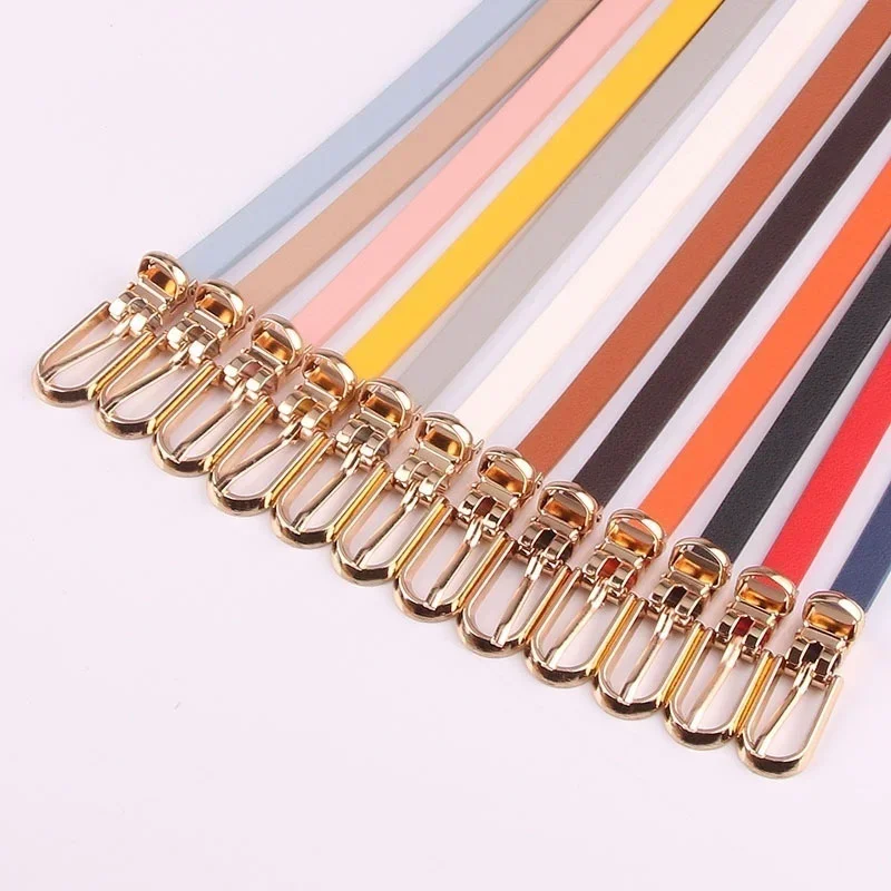 Ceinture de Taille Fine pour Femme, Accessoire de , Style 2023