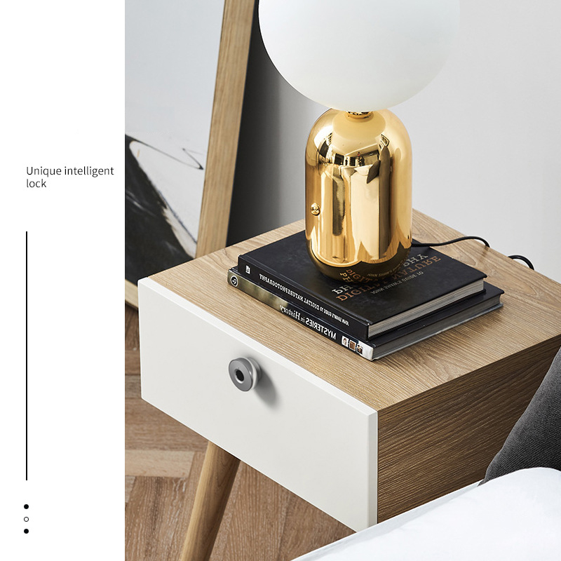 Mini Fingerprint cabinet lock biometric electric door lock