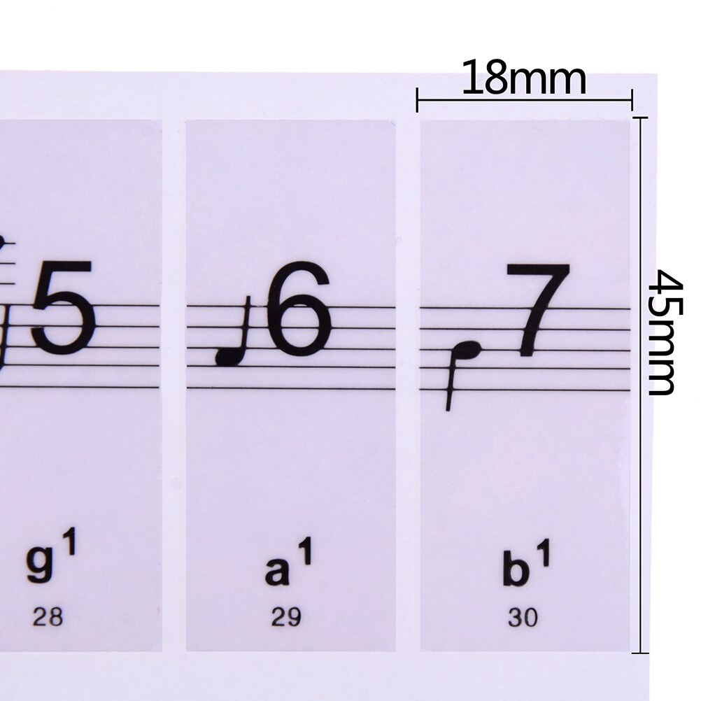 Teclado electrónico 88 teclas pegatinas 1 hoja Piano teclado 54/61 teclas calcomanía sobre música nota aprendizaje Biginners niños