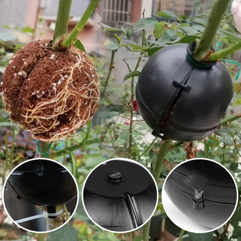 Plante roting vokse boks gjenbrukbar plante rot enhet for roser trær frukt busker plante rot enhet pode boks til rot