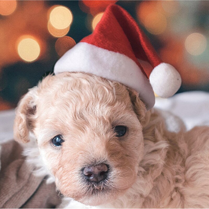 Diy Gelukkig Nieuwjaar Kerst Mini Pluche Rode Hoed Mooie Kat Hond Pet Kerstman Hoed Decoratie Voor Thuis Huisdier