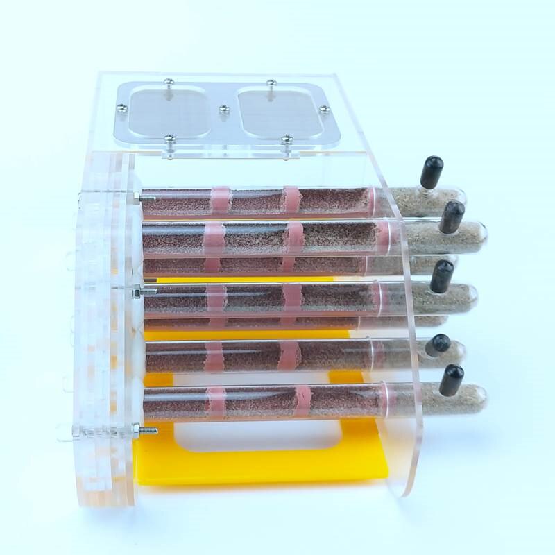 AntHouse AcrylicSand Starter Kit for Ant Keeping Depot Formicarium