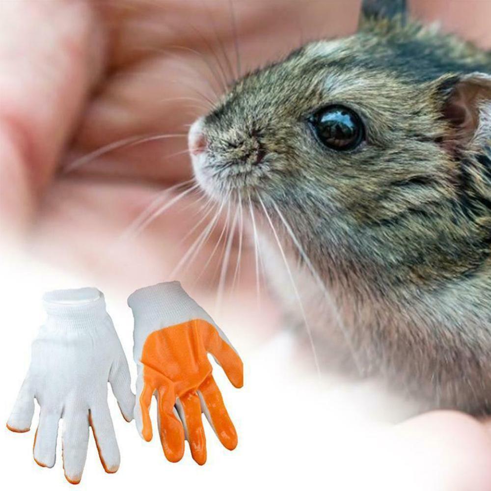 Kleine huisdieren bijtbestendige handschoenen onbreekbare handbeschermingshandschoenen varkens chinchilla's hamsters bijten konijnen cavia  x3 m 6
