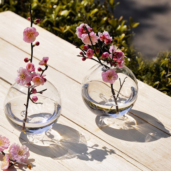 Vase en verre transparent Terrarium | Boule transparente, Pots de plantes, bouteille de réservoir mural, conteneur de fleur hydroponique, décor de jardin pour maison bricolage