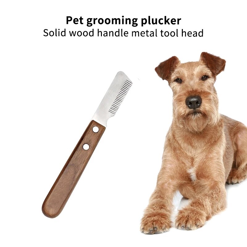 Pettine per cani despargimento strumento per toelettatura pennello professionale in legno per animali domestici Schnauzer da corsa cane toelettatura toelettatura attrezzo canna da barba coltello pettine