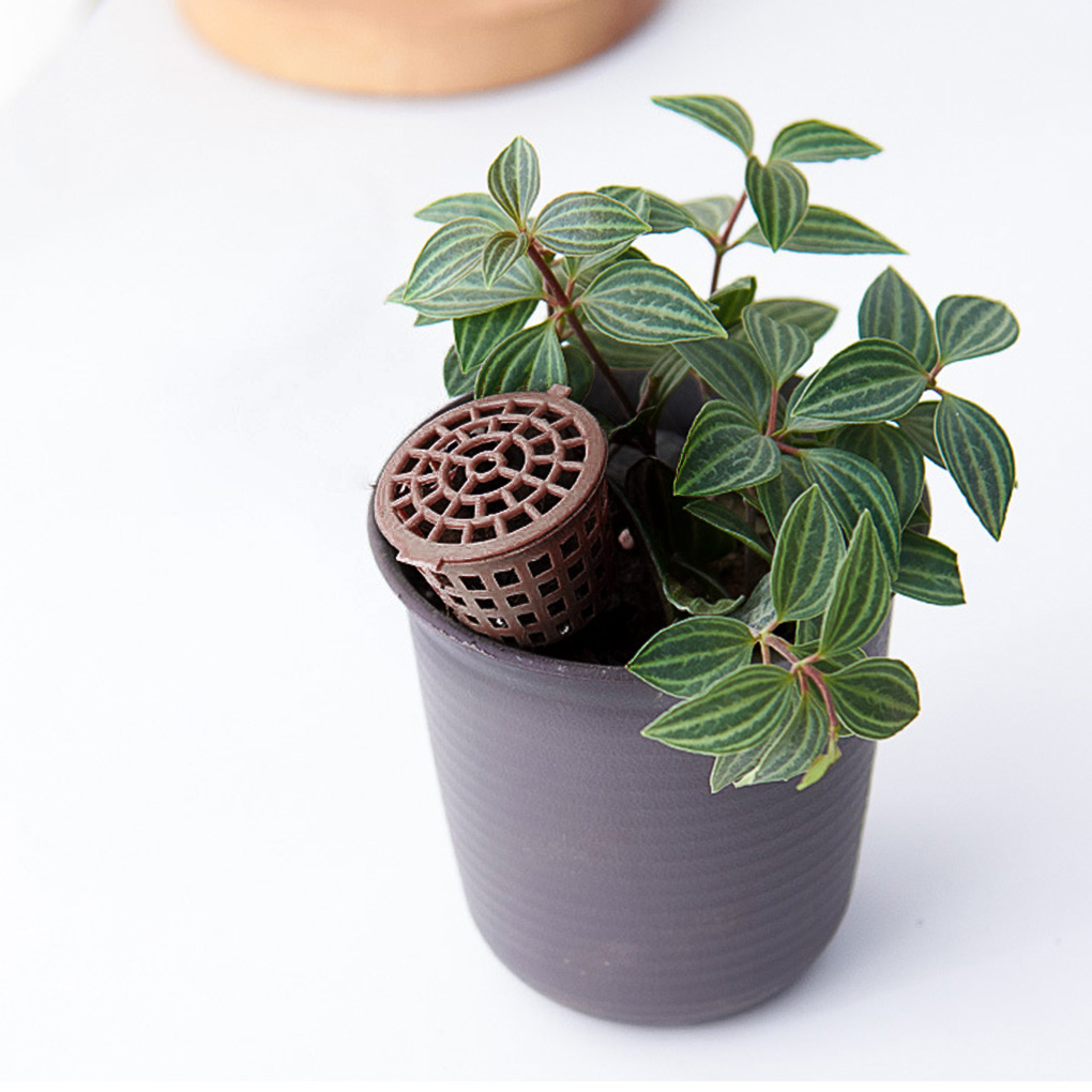 10pcs/set Fertilizer Lid Basket Bonsai Planting Tool Gardening Supplies Garden Nursery Automatic Fertilization Fertilizer Box