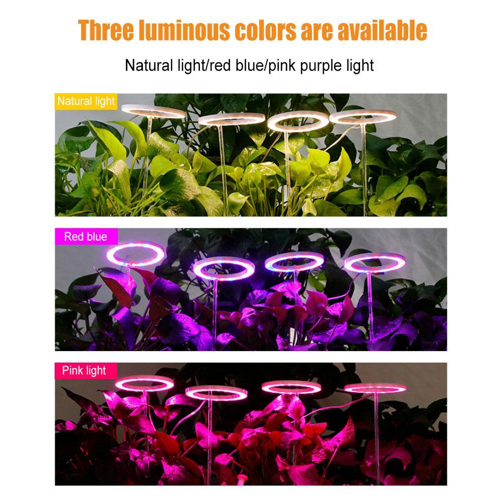 Angel Ring Led Groeien Licht Groeien Lamp Usb Phytolamp Voor Planten 5V Lamp Voor Planten Groei Verlichting Voor Indoor plant