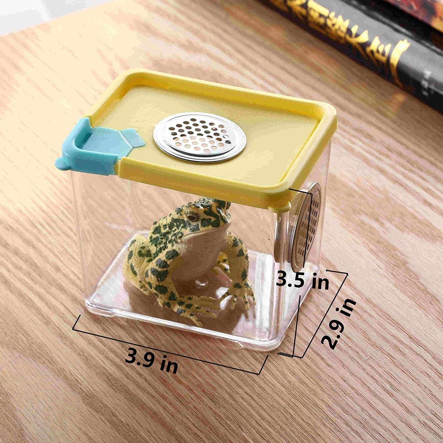 Insect Habitat Cage Butterfly Spider Mantis Bottle Frog Cricket Snail Box Bug Catcher Breathable Outdoor