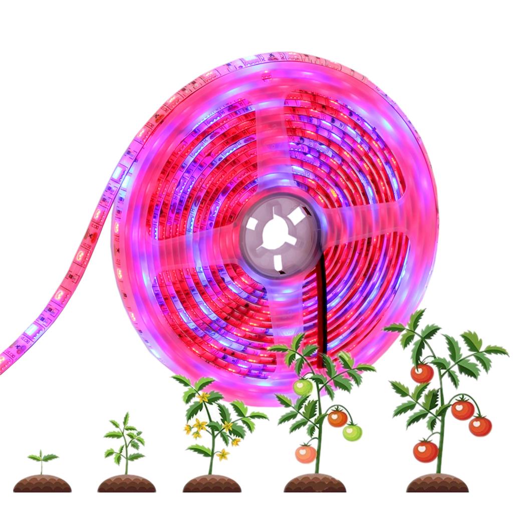 5050 Led Strip Voor Planten Groeien led licht groeien phyto lamp voor planten phytolamp voor zaailingen phyto lamp voor planten groeiende Groei