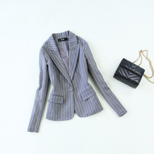 Winter business office women's suits pants suit Casual Slim Gray Striped Blazer Skirt set two-piece female: B / S