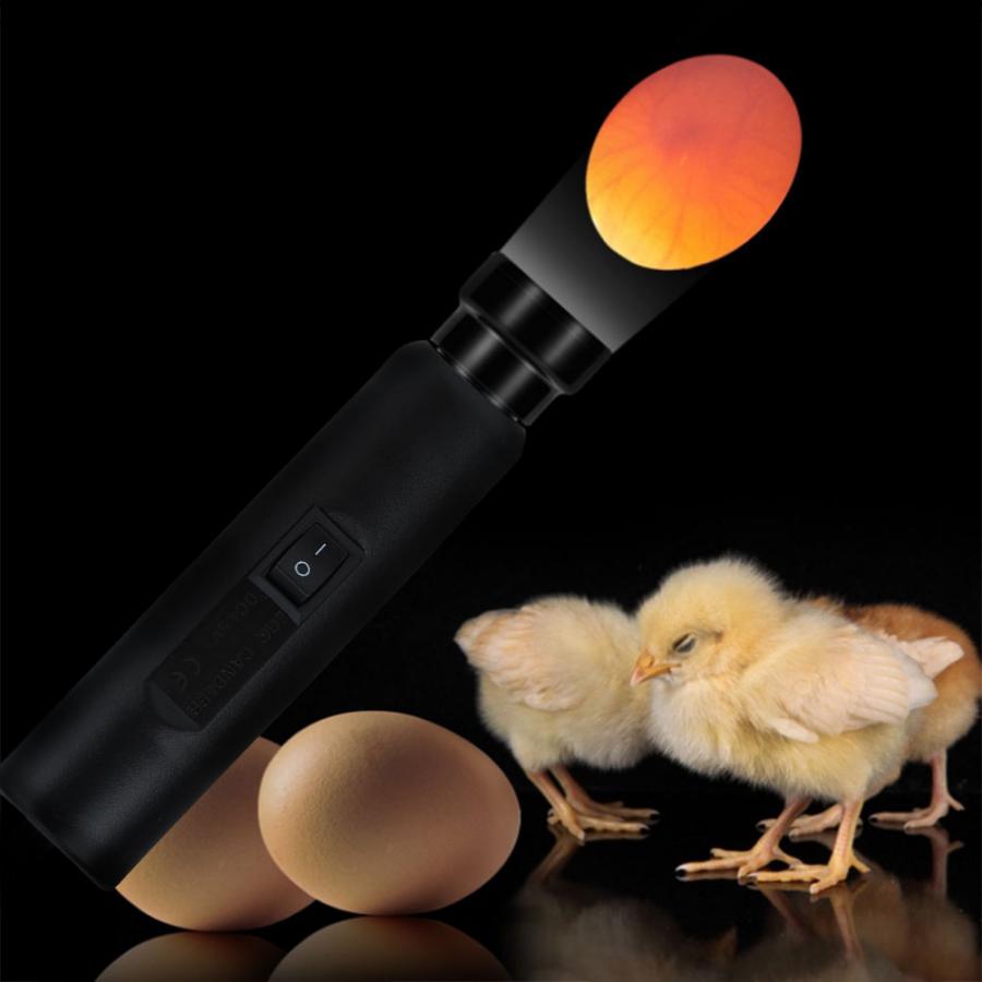 Ei Durchleuchten Lampe Huhn Ei Überwachung Tester LED Inkubator Licht Durchleuchten Lampe Inspektion UNS Stecker 100-240V Ei inkubator