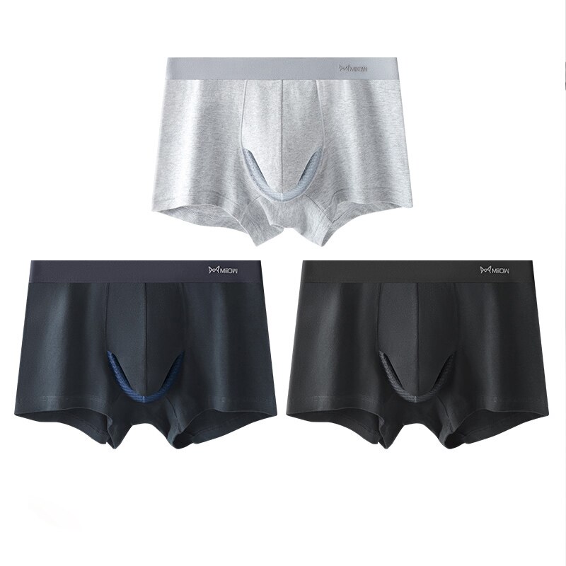 2022 3Pcs Sexy Organic Cotton Boxers Shorts Underpants Soft Cotton Trunks Man Underwear Boxer Men Freegun Breathable Mesh Panty: 3Pcs-M1751-3B / L