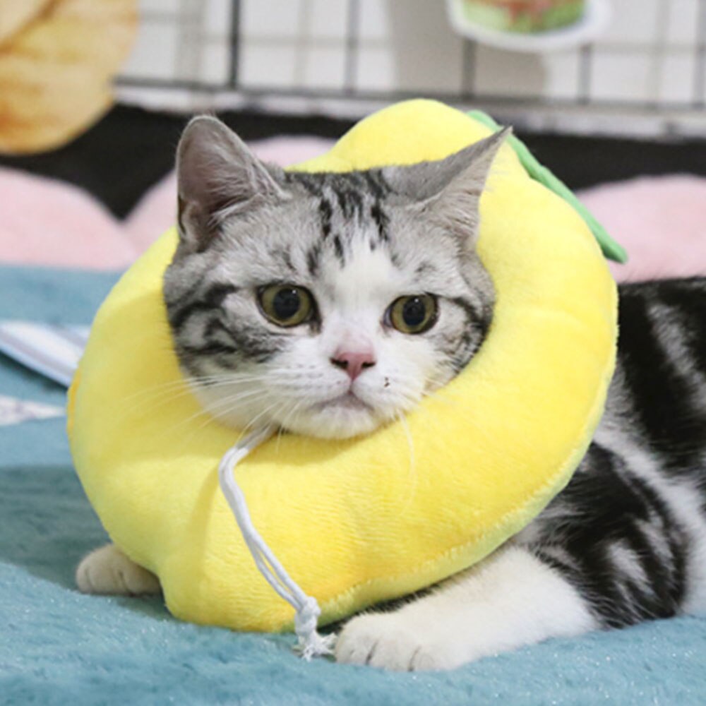 Adjustable Elizabeth Collar Anti-Licking Pet Recovery Ring Anti-Bite Protective Ring Surgery Wound Healing Circle For Dogs Cats