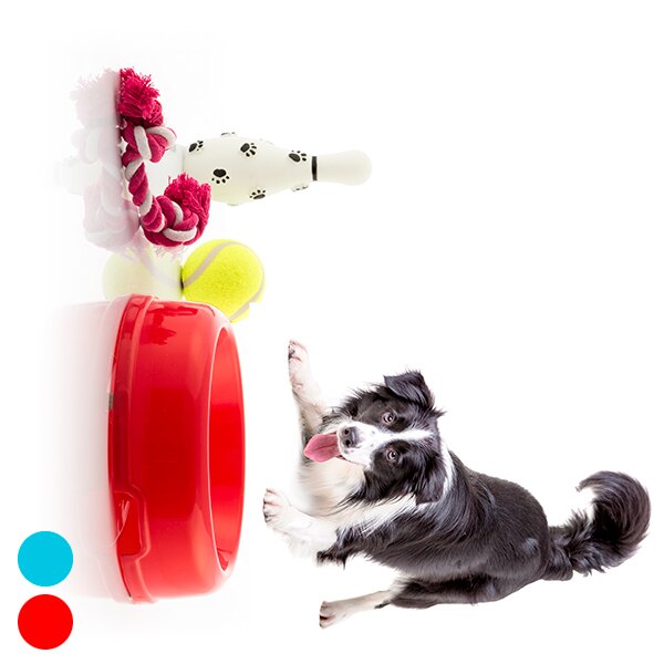 Set van Hond Speelgoed 4 Stuks