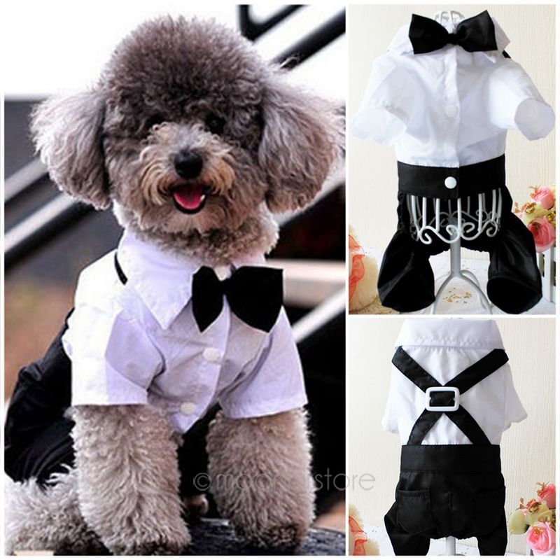 Smuk hundetøj tøj formel hundejakkedragt med sløjfe brudgom smoking kæledyr kostumer størrelse s, m, l, xl