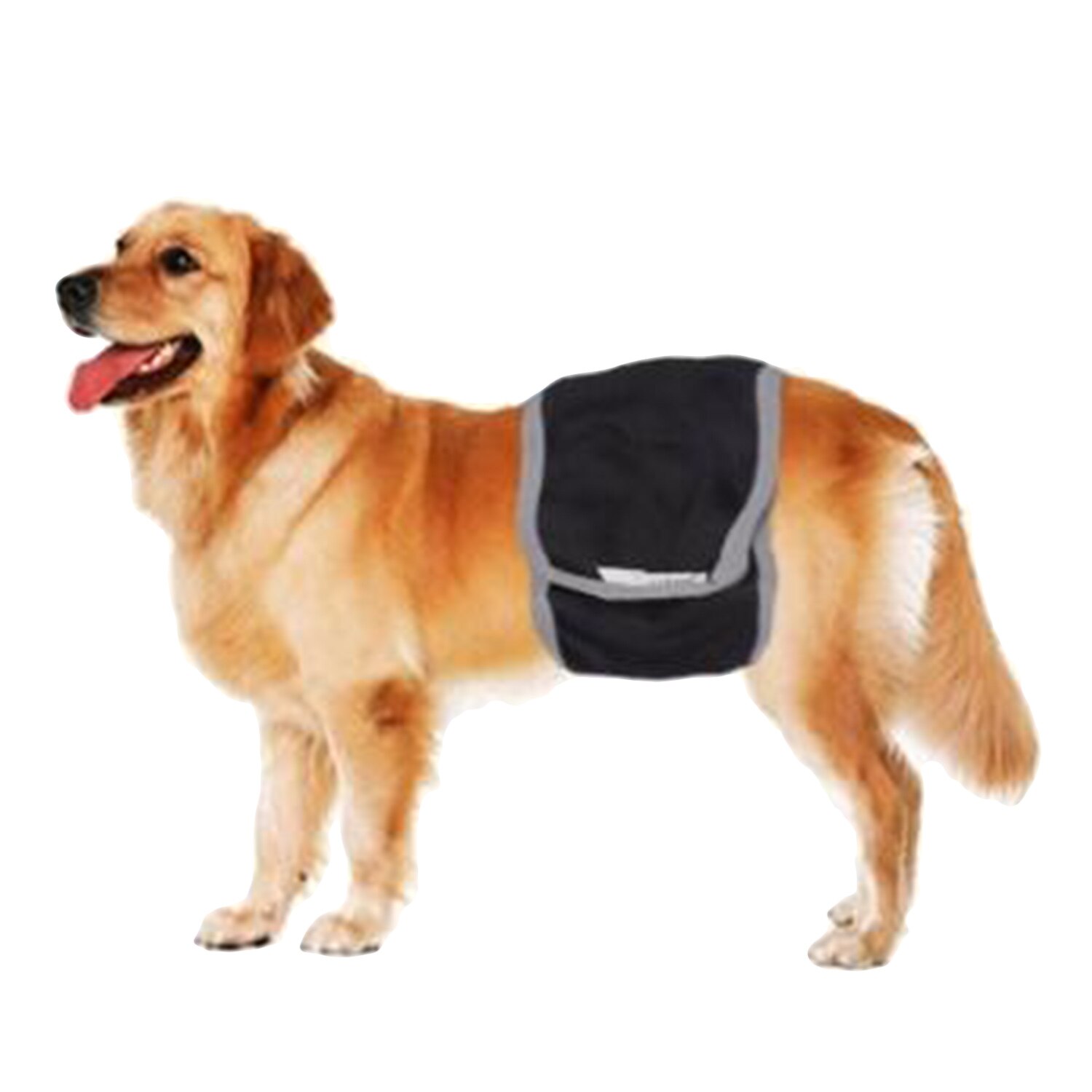 Behogar Ademend Herbruikbare Mannelijke Hond Wrap Sanitaire Luier Buik Band Ondergoed met Klittenband Maat XL Taille 66-80 cm