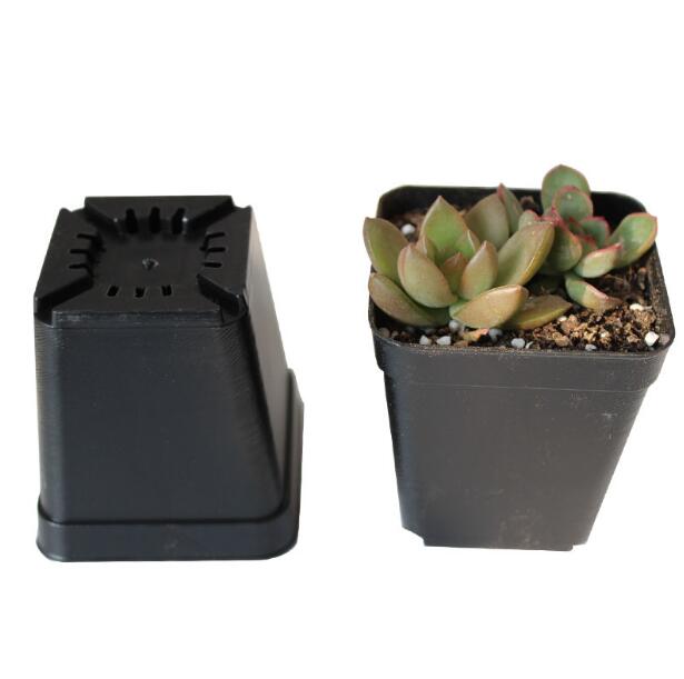 10pcs/lot Square Flower Pots 7*7*8cm Black Color Planters Pot Trays Plastic Pots Small Pots for Succulent plants ZXH