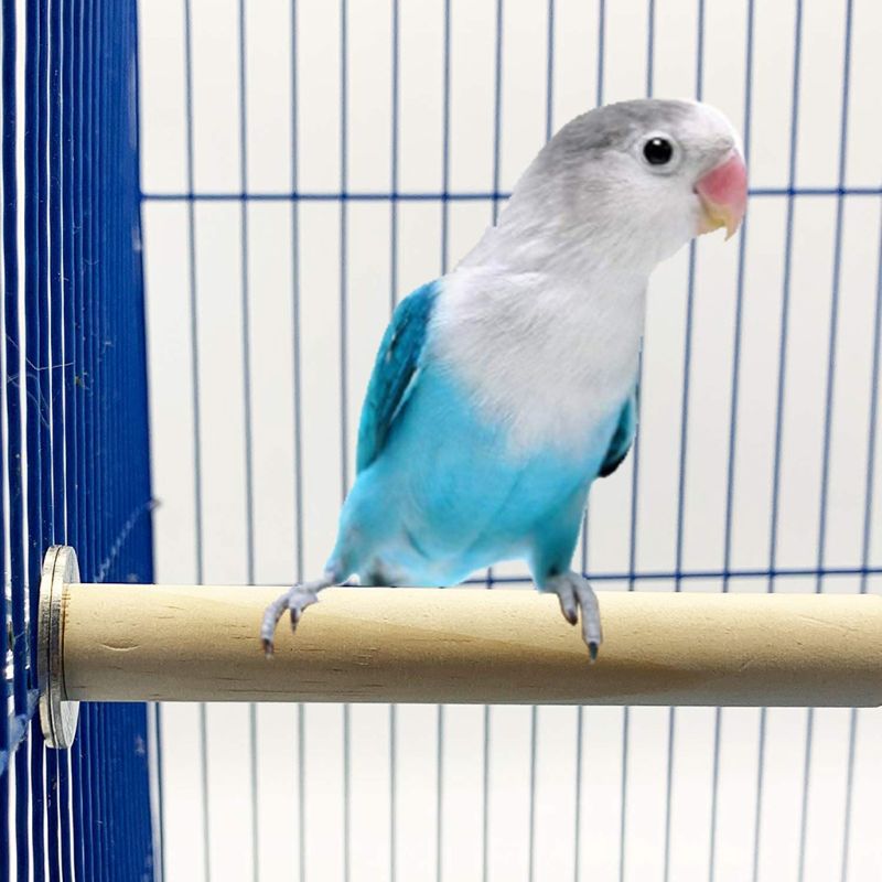Yooghuge Hamster Zähne Schleifen Steine ​​Hän Produktbild-Vorschau 5