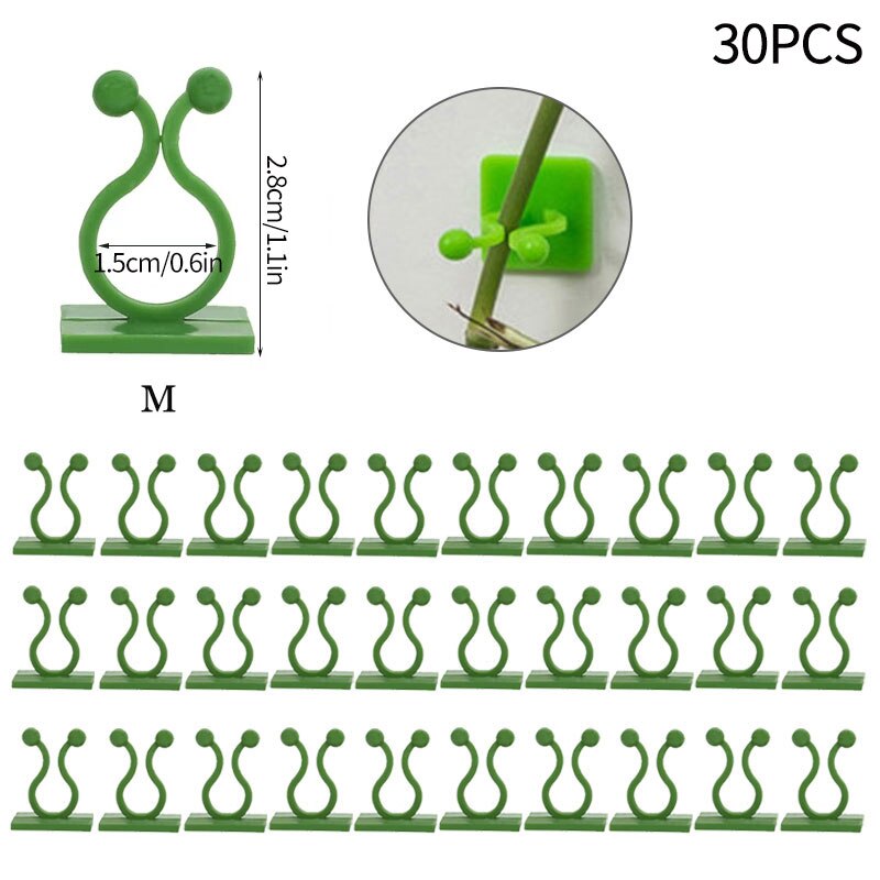 10/30/50 Stuks Plant Klimmen Muur Zelfklevende Haak Armatuur Clips Onzichtbare Rotan Klem Armatuur Muur kleverige Haak Plant Ondersteuning: Green-M-30pcs