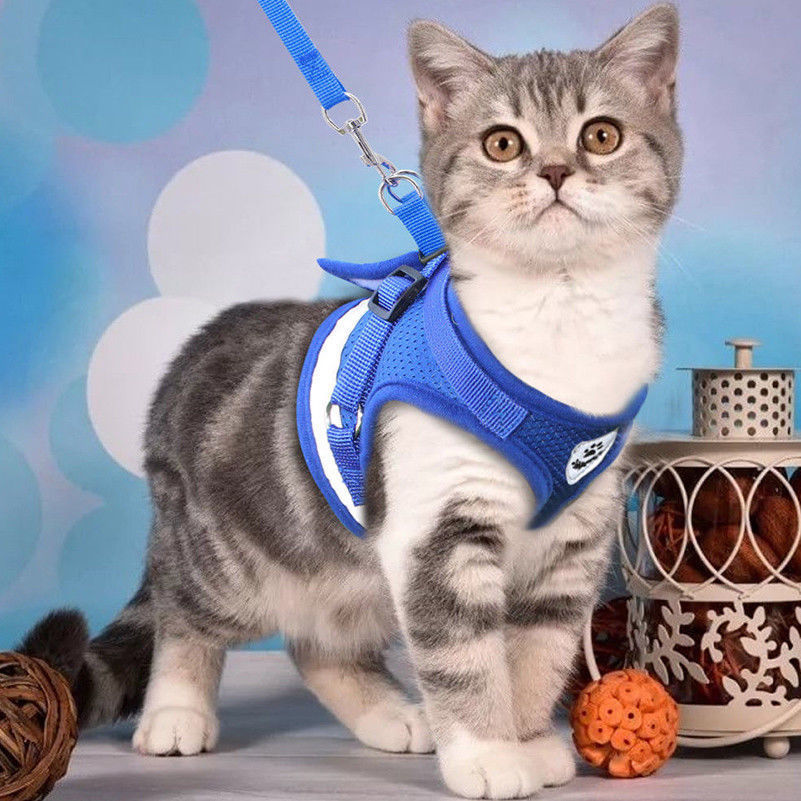 Husdjurskontrollsele för katt hund mjukt nät vadderat bilgående sele resor säkerhetsbältesklämma blykrage säkerhetsrem väst