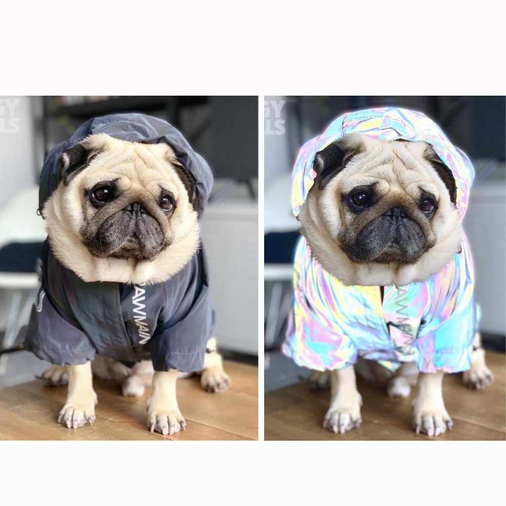 Chubasquero para perro mascota de 8 tamaños, ropa, chaqueta para perro impermeable con capucha, ropa para gato mascota reflectante a prueba de viento, ropa para caminar al aire libre para perro