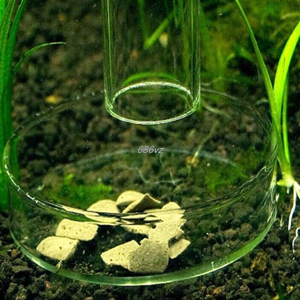 Acryl Kristall verrotten Zier Garnelen Futter Gericht Aquarium Aquatische Panzer Schnecke Fischfutter Zubringer Schüssel Tasse Becken Fach Container