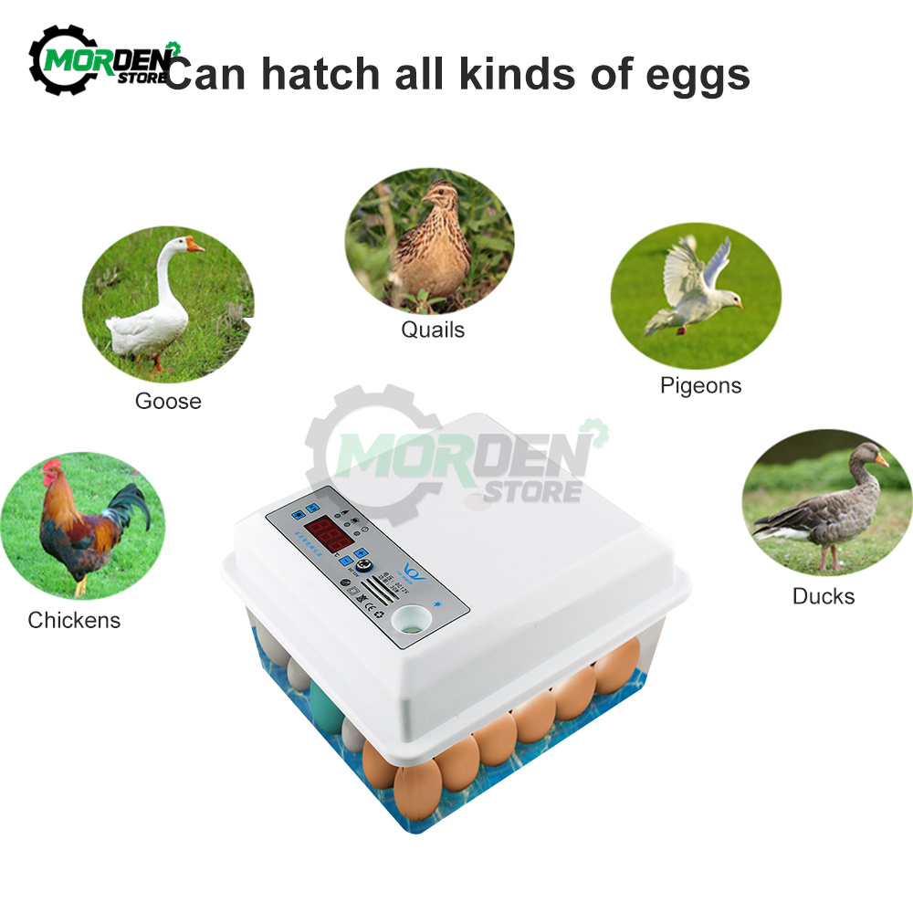 20 Eieren Huishouden Incubator Kleine Plastic Bionische Water Bed Incubator Automatische Temperatuurregeling Ei Incubator