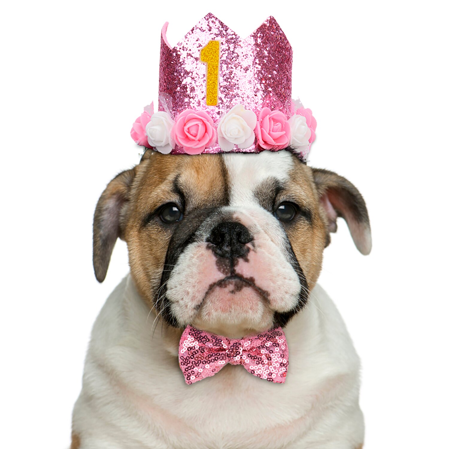 3 stk. kæledyrs fødselsdags kostume sæt paillet fødselsdagshat med bowtie tutu nederdel kæledyr tøj og tilbehør katte hunde forsyninger