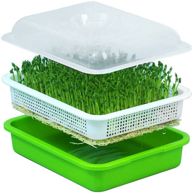 Seed Sprouter Tray with Lid BPA Free Bean Sprout Grower Sprouting Seeds Tray, Dirt Free Way and Big Capacity