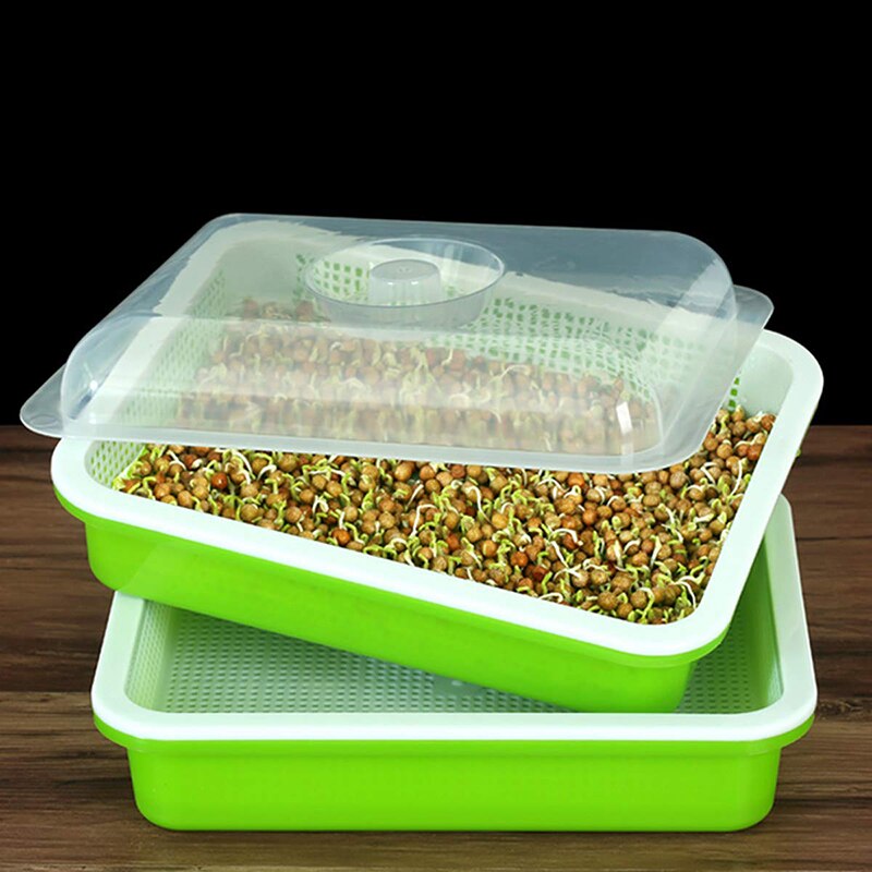 Frøspir brett bpa gratis pp soilless bønne spir dyrker frøplanter spir brett spir sett med lokk til hage hjemme bruk