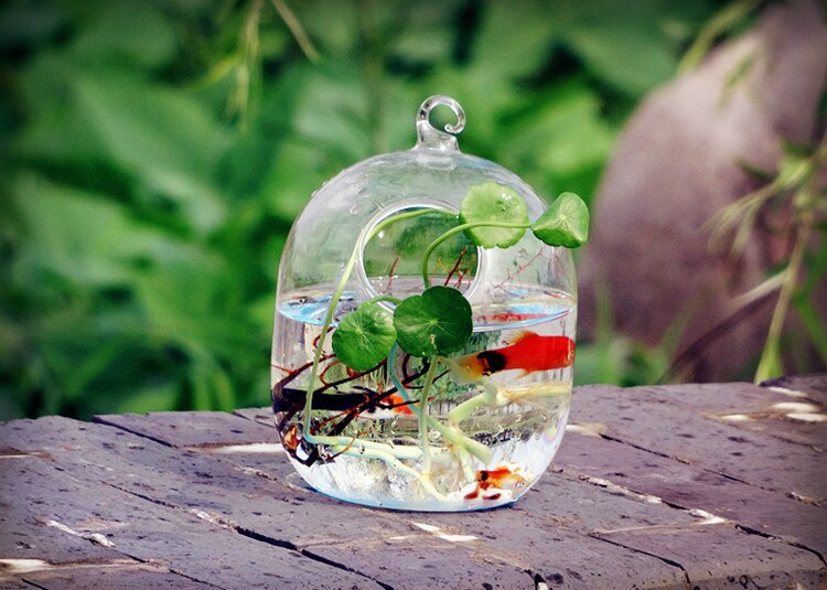 O.RoseLif Glass Mini Hydroponic Acuario Flower Vase & Fish Tank Aquariums Hanging Aquarium Wedding Decoration Home Decor