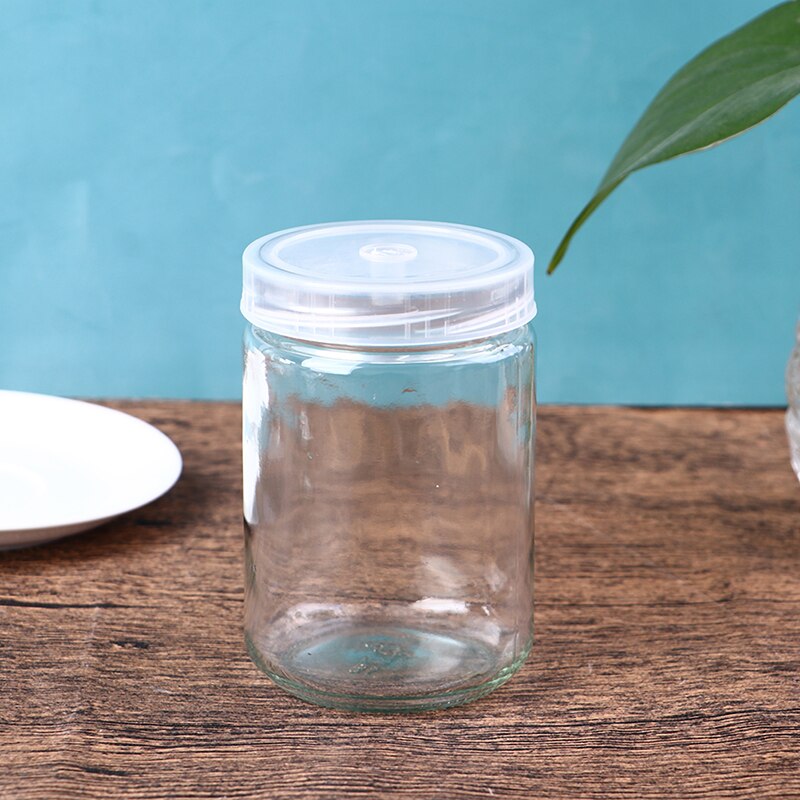 Piantine traspiranti della coltura del tessuto della pianta della copertura traspirante della piantina di vetro 1pc 350mL