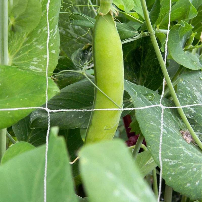 Tuinlatwerk Netting Heavy Duty Nylon Plant Gaas Voor Tuinen Gaas Tent Plant Ondersteuning Net Tuinnet Accessoires