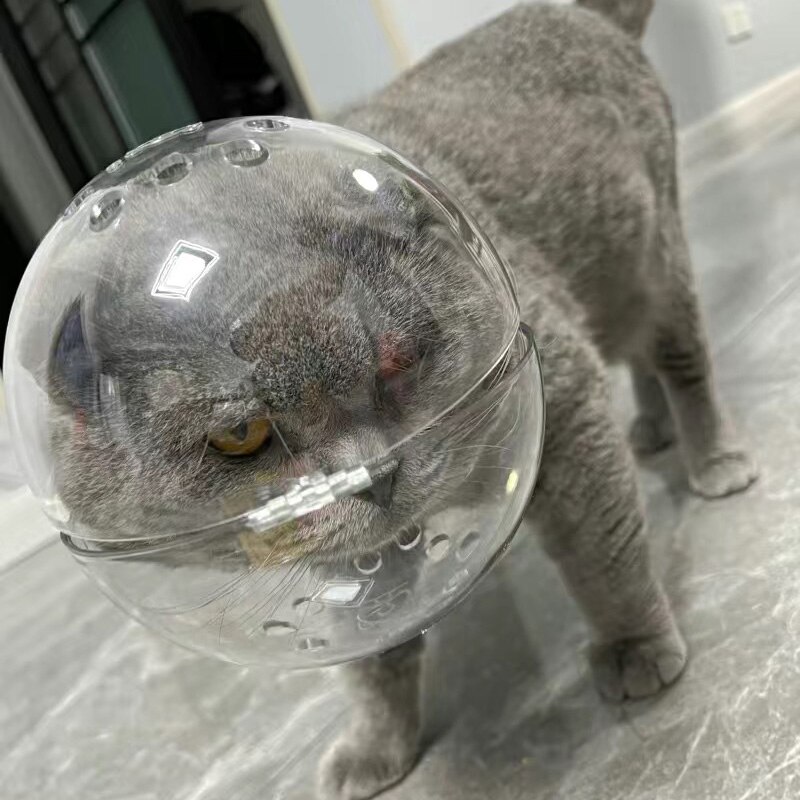 Cagoule respirante pour chat, anti-morsure, accessoire de toilettage pour animaux de compagnie