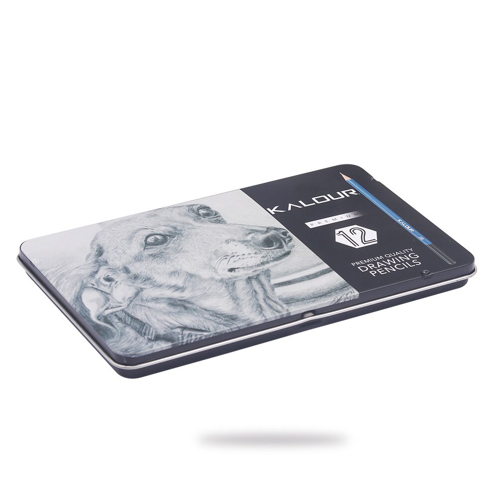 Sketching Graphite Pencils with 12 Different Hardness for Beginner and Artist with Iron Box Student: Default Title