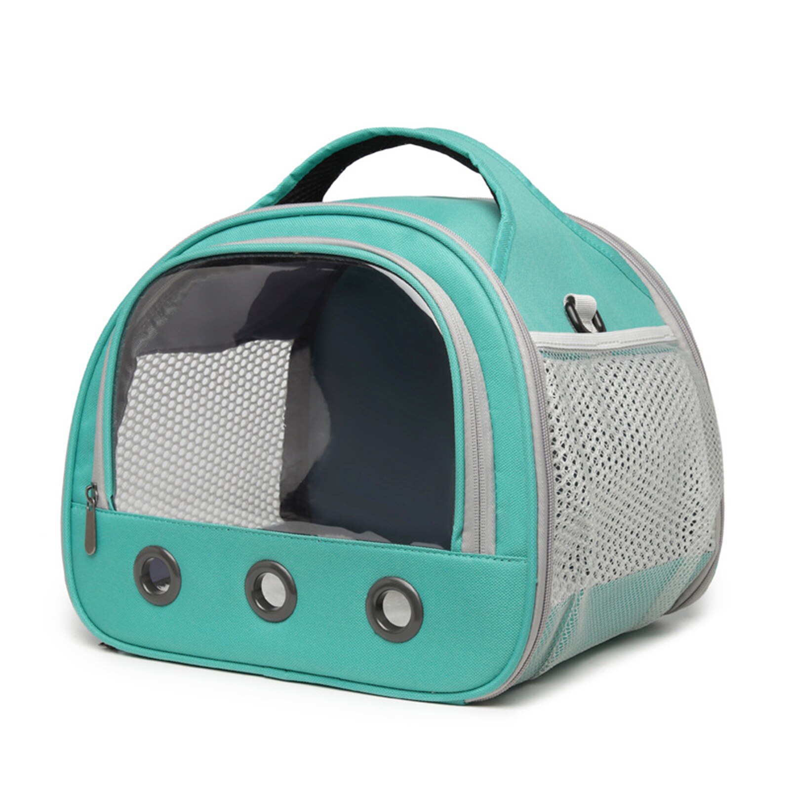 Small Animal Carrier Bag Portable Guinea Pig Travel Carrier Cage with Transparent Window for Bird Rat Guinea Pig Squirrel: Light green