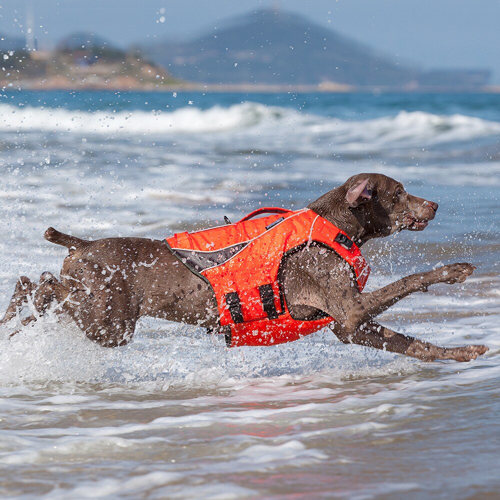 Dog Life Vest Jacket Clothes Ropa Perro De Para Harness Pet Arnes Roupa Chaleco Salvavidas Swimming Summer Grande