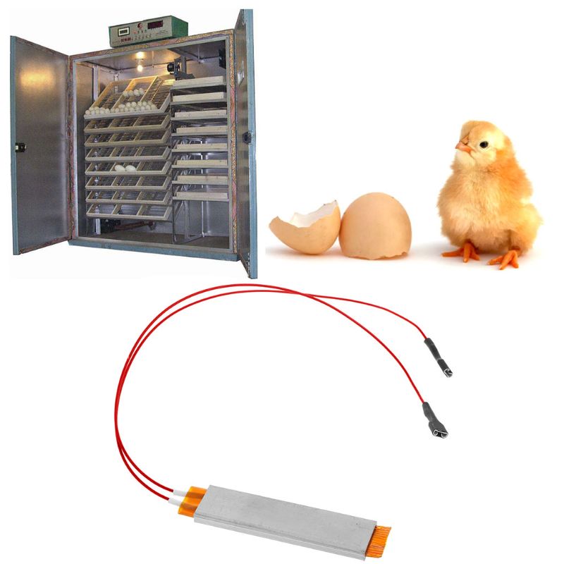 Varmeovn varmeelement tallerken til egg inkubator tilbehør 110v 220v
