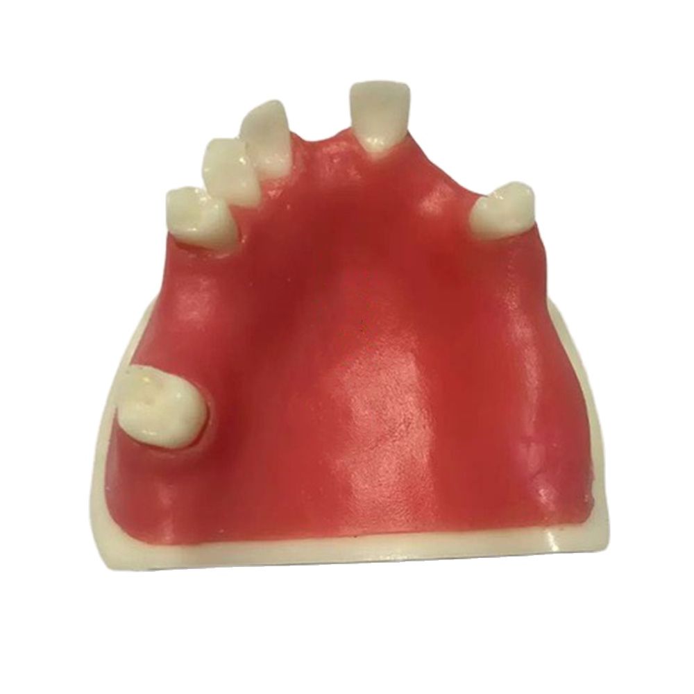 1PCS Dental Mandibular Demonstration Oral Model Implant Practice Maxillary Sinus Teaching Model Soft Gum Training Teeth model: I