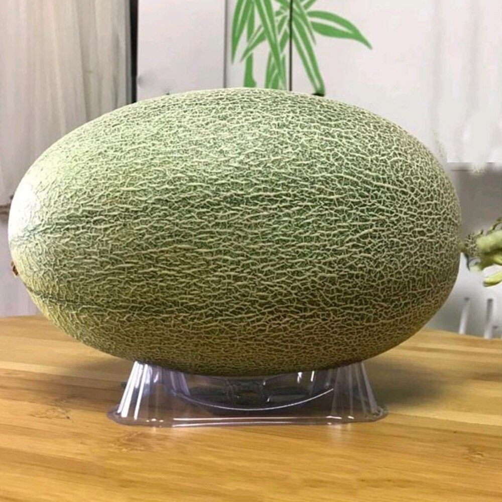 50pcs Plant Support Cradle Plastic Melon Watermelon Pumpkin Prevents Rotting Transparent Protector Cages Gardening Tools