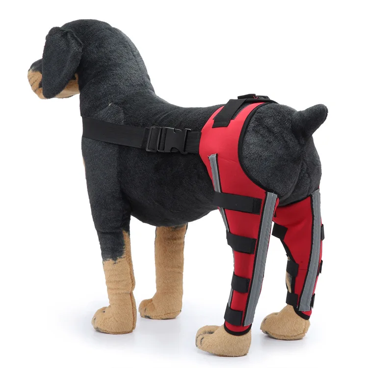Pet Puppy Knee Pads Dog Back Leg Braces for Injured Dogs Support Brace Injury Joint Wrap Recover Protector Dog Accessories: L / GRAY