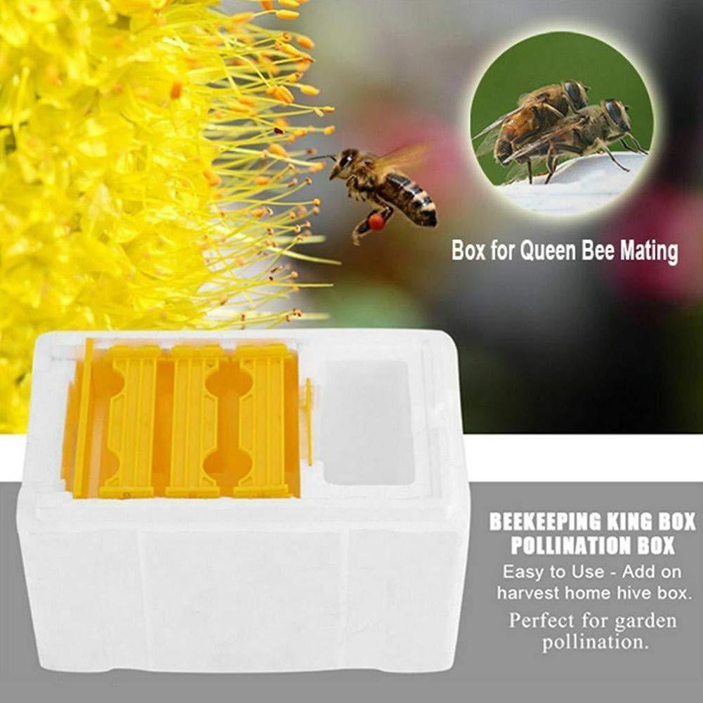 Caja de polinización King Box para apicultura, marcos de espuma, Kit de equipo de apicultura, caja de colmena de abejas para polinizador de jardín, apicultura
